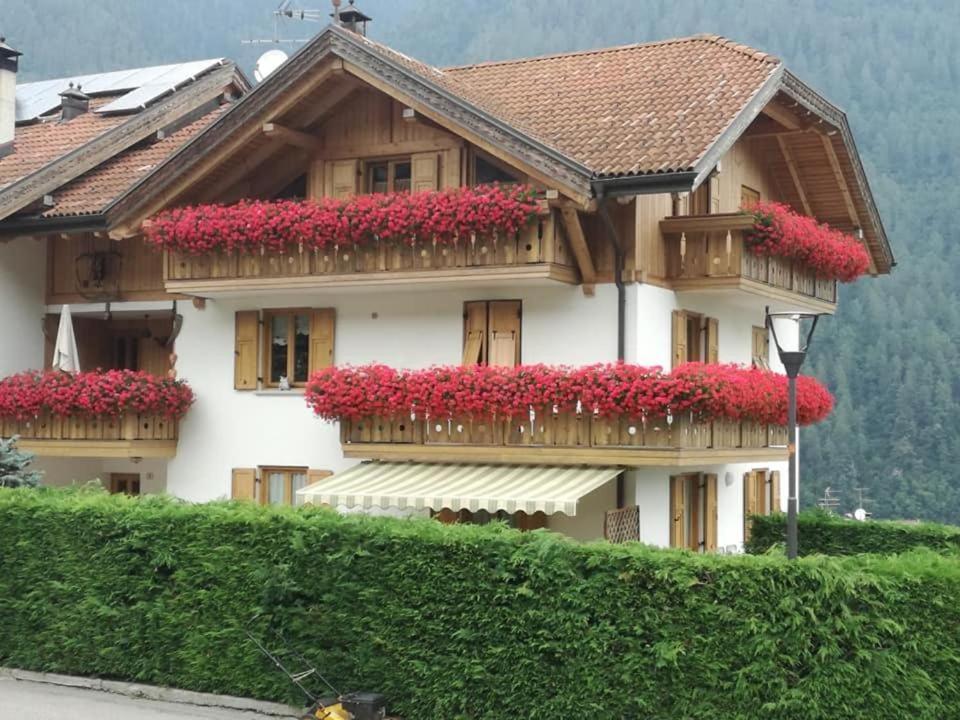Appartamento Mansarda Patrizia E Franco Val Di Sole Commezzadura Exterior foto